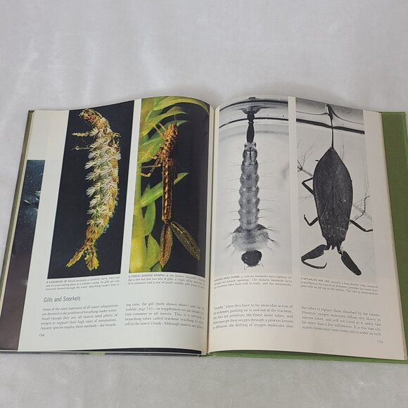 The Insects By Peter Farb Life Nature Library Hardcover 1967 - Picture 10 of 13